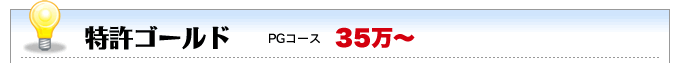 特許出願ゴールド（ＰＧ）コース